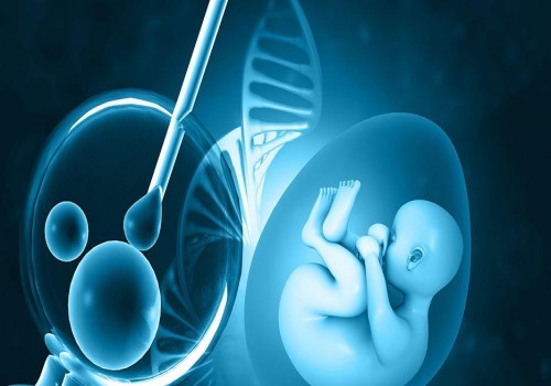 做試管嬰兒生孩子，到底要花多少錢？